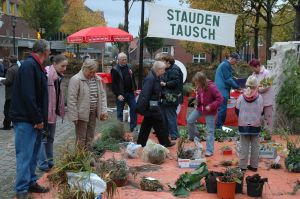 Auch in diesem Jahr hofft die SPD wieder auf ein breites Angebot beim Staudentausch am 20.Oktober.